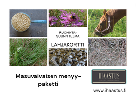 Lahjakortti: Masuvaivaisen menyy - paketti