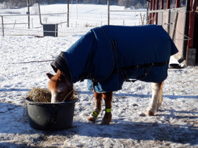 Seniorin sopivat syömingit - paketti