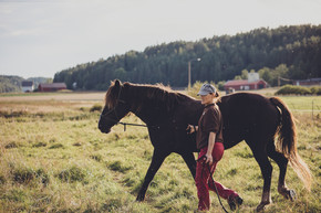 Hevosten ruokintasuunnitelmat tekee Jutta Kolehmainen