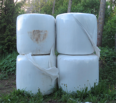 Rehuanalyysin tulkinta, korsirehu, Osa III