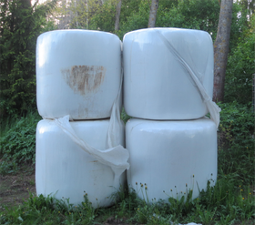 Rehuanalyysin tulkinta, korsirehu, Osa III