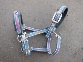 Eskadron sini-liila riimu COB