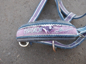 Eskadron sini-liila riimu COB