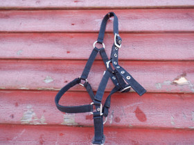 Musta nyloninen varsa/shettisriimu