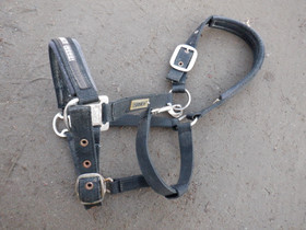 Eskadron musta riimu COB