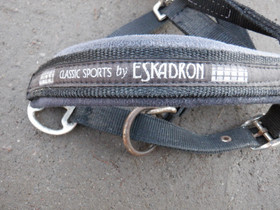 Eskadron musta riimu COB