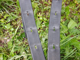 Prestige Hippos Dressage koulusatula leveys 32, istuin 17 