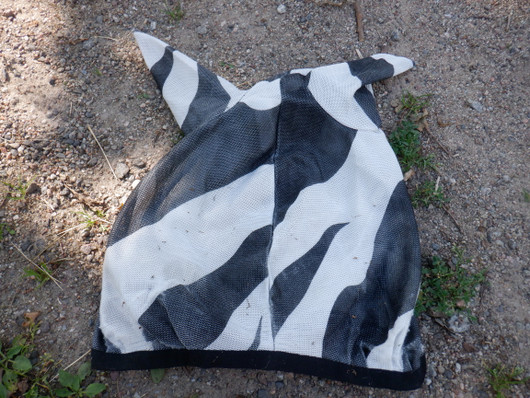 Bucas Zebra ötökkähuppu COB