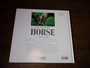 The Icelandic Horse- kirja