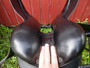 Prestige Hippos Dressage koulusatula leveys 32, istuin 17 