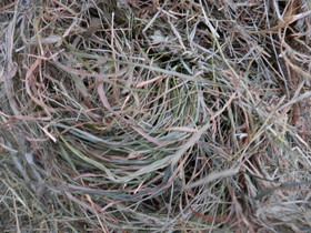 Rehuanalyysin tulkinta, korsirehu, Osa II