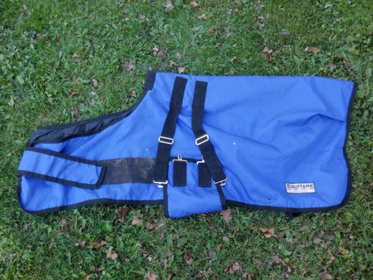 Sininen varsaloimi n. 100 g, selkämitta n. 88 cm
