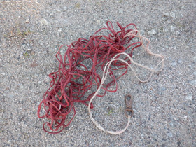 Heinäverkko, punainen