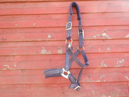 Sininen riimu niska- ja turpapehmusteella, FULL