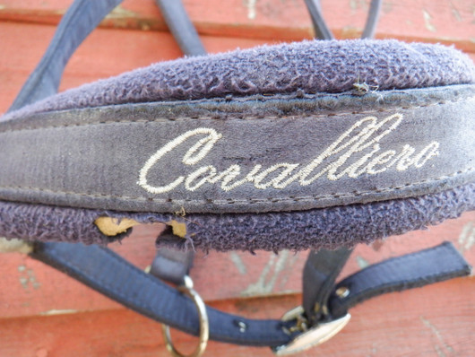 Sininen riimu niska- ja turpapehmusteella, FULL