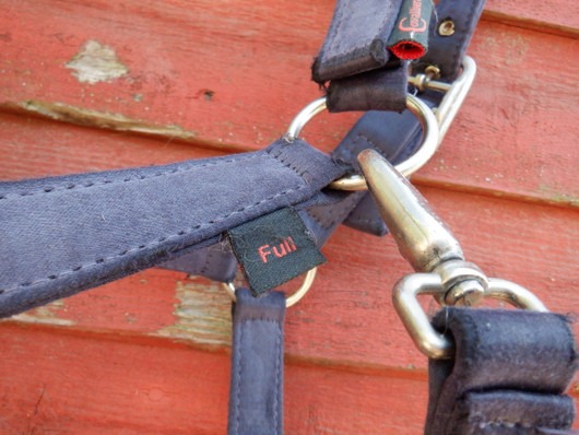 Sininen riimu niska- ja turpapehmusteella, FULL