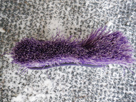 Liila, isohko pölyharja
