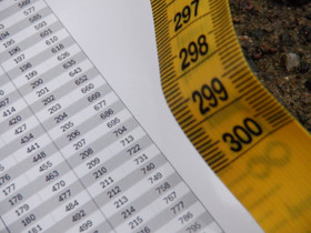 Hevosen painomittanauha