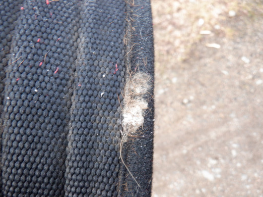 Horzen musta nyloinen satulavyö 100 cm