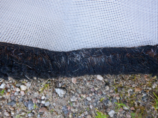 Vaalea ötökkähuppu mustilla kanteilla COB