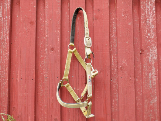 Nylonriimu Finntack, entinen keltainen, COB