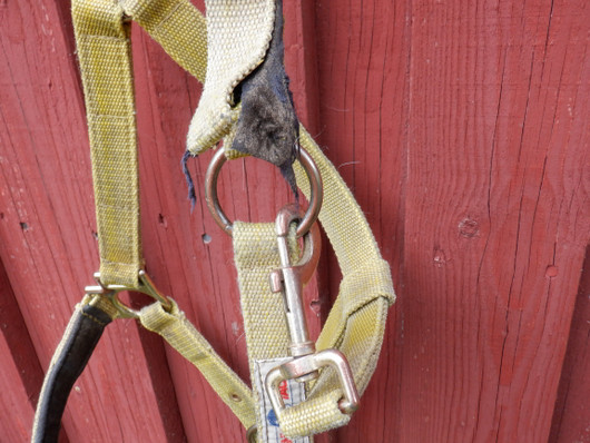 Nylonriimu Finntack, entinen keltainen, COB