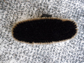 Luonnonmateriaalinen pehmeä harja 