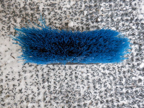 Sininen harja puolipitkillä harjaksilla