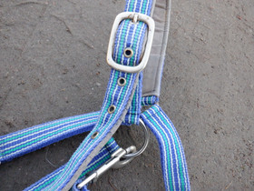 Rymyriimu, sinivihreäraidallinen COB