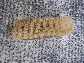 Vaalea kova juuriharja