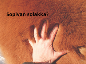 Sopivan solakka - Minikurssi hevosen lihavuuskunnon arviointiin