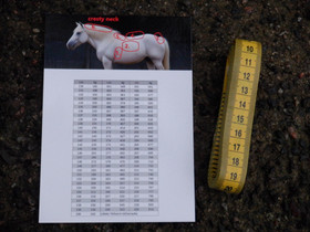 Hevosen painomittanauha