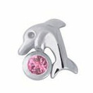 Delfiini värikivellä