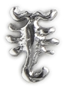3-D Scorpion