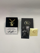 Ei Leiki -kullattu teräsriipus ketjulla.