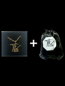 Ei Leiki -kullattu teräsriipus ketjulla (+treenikassi)