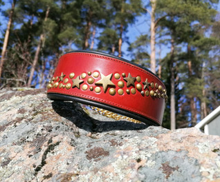 Puolikuristava tähti-niittipanta