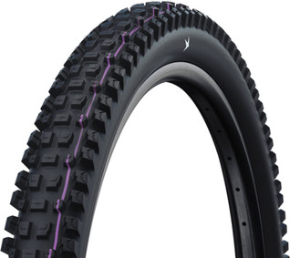 Schwalbe Albert Gravity Pro Radial 29