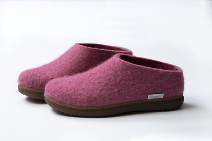 Felt shoes