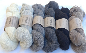 Wilhelmi wool sock yarn, undyed