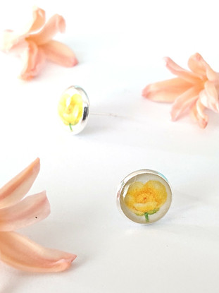 Kukkaniitty - nappikorvikset, Niittyleinikki