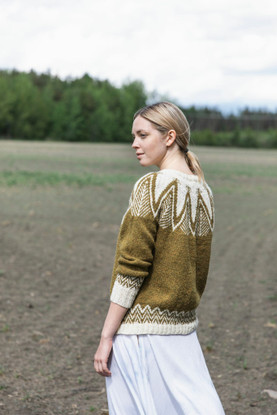 Jenna Kostet: Neulottu Kalevala