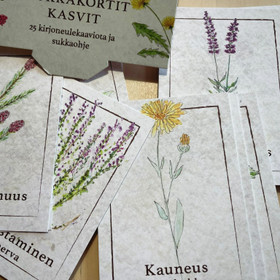 Ihtiriekkoknits, kasviaiheiset sukkakortit