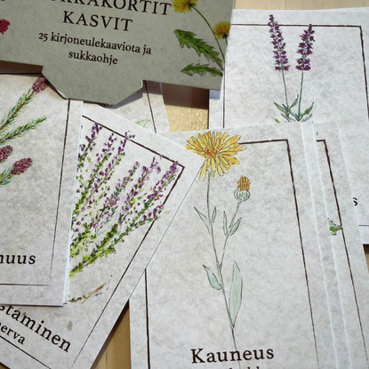 Ihtiriekkoknits, kasviaiheiset sukkakortit