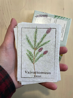 Ihtiriekkoknits, kasviaiheiset sukkakortit