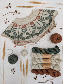 Yarn package for Dragonfly pullover