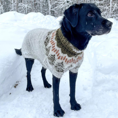 Ison koiran Pakkasromola, printtiohje