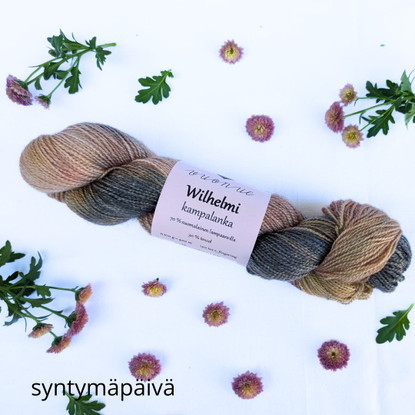 Wilhelmi  worsted yarn, Aara ❤️ Vuonue