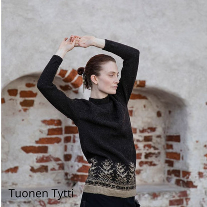 Jenna Kostet: Neulottu Kalevala II (in Finnish)