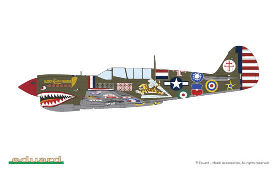 Eduard 1/48 15,000th P-40N Warhawk (Limited Edition)